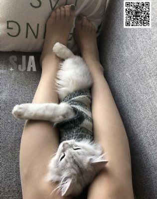 高清无码剧情mangent_高清神马影院在线