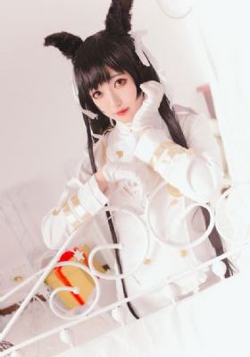四叶草免费视频_DVD完整在线观看